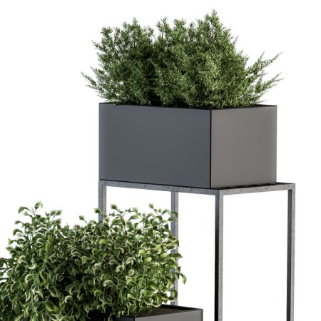 آبجکت گیاه Indoor Plant Set 100 Black Stand