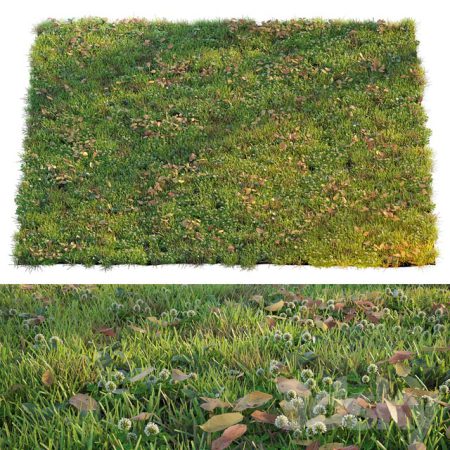 مدل سه بعدی آبجکت چمن Lawn with clover and dry leaves