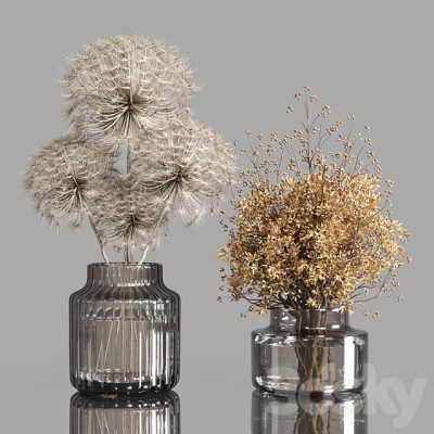 آبجکت گلدان Collection Dry Plants Bouquet Indoor 02