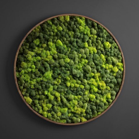 دانلود آبجکت پنل سبز Panel moss circle