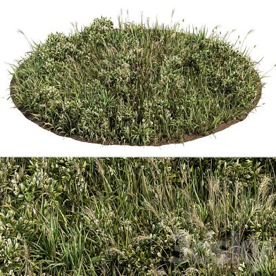 مدل سه بعدی آبجکت چمن Wild Grass Green Grass Set 01