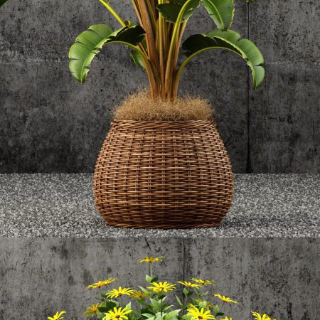 آبجکت گیاه Plants collection 55 3d Model