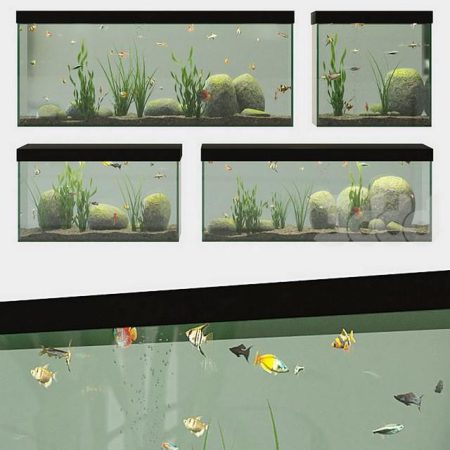مدل سه بعدی آکواریوم Set of aquariums