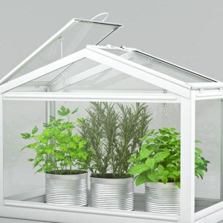 آبجکت گیاه IKEA Greenhouse