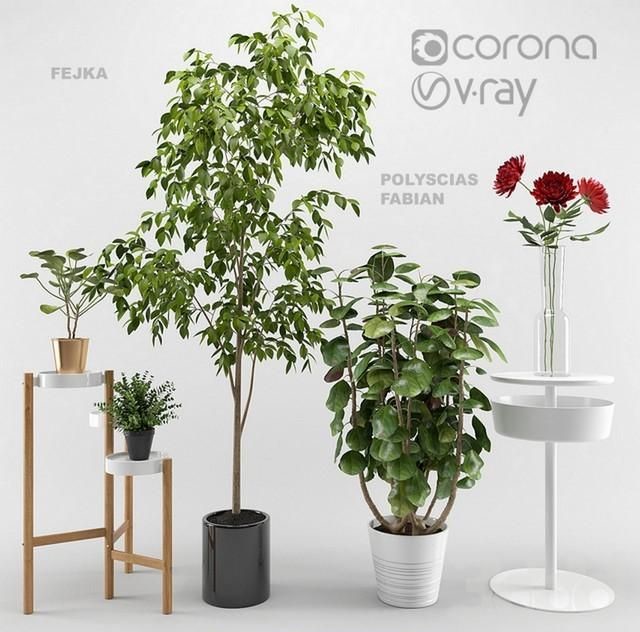 دانلود آبجکت گیاه Ikea plants set بانک مدل آبجکت و تکسچر سه بعدی