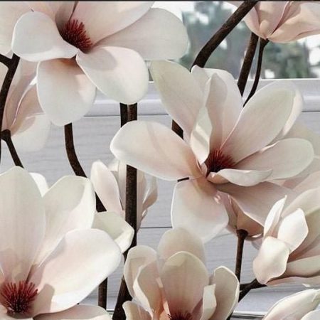 آبجکت گلدان Magnolia 3