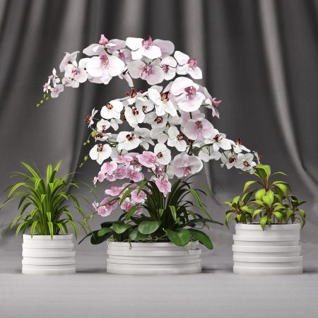 آبجکت گلدان Orchid arrangement 7