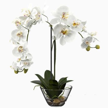 آبجکت گلدان Phalaenopsis Silk White Orchid in Glass Vase
