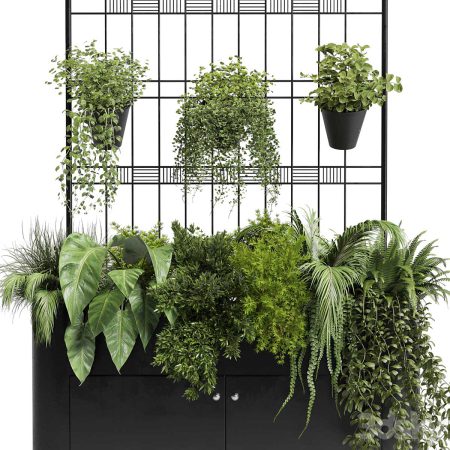 آبجکت استند گیاه Stand wall decor with shelves