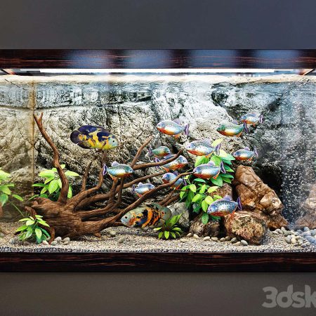 مدل سه بعدی آکواریوم Aquarium for interior