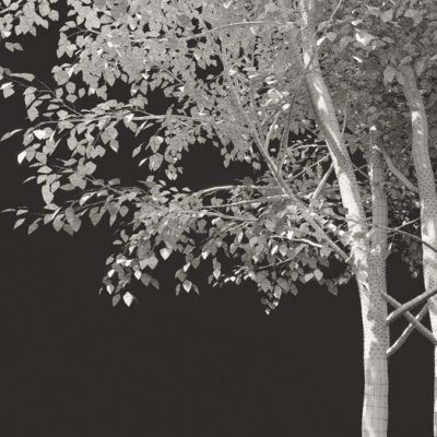 آبجکت درخت Summer tree 03