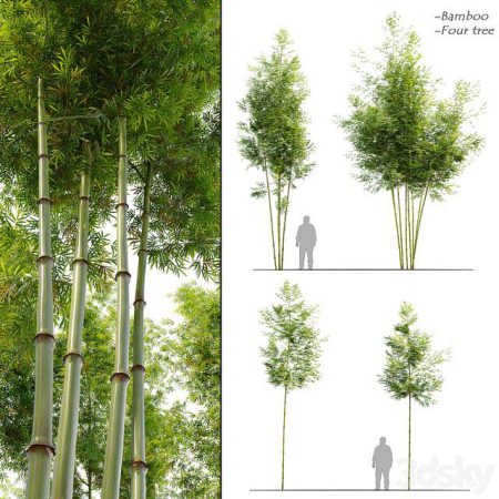 آبجکت درخت Four Bamboo Tree