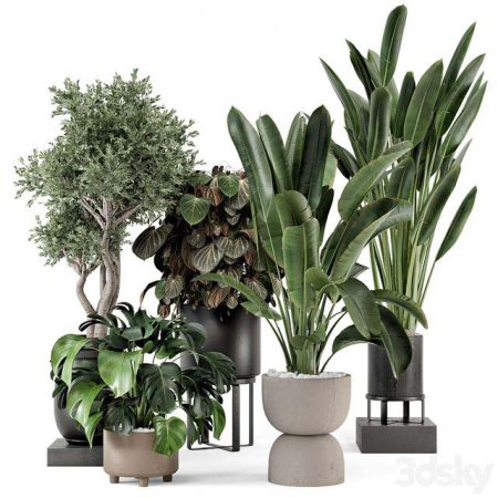 آبجکت گیاه Indoor Plants in Ferm Living Bau Pot Large – Set 1204