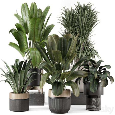 آبجکت گیاه Indoor Plants in Ferm Living Bau Pot Large – Set 1947