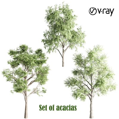 آبجکت درخت Set of acacias