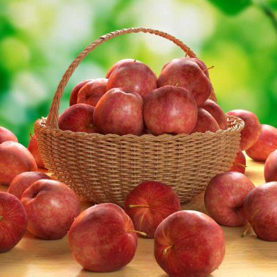 آبجکت میوه سیب Basket with apples