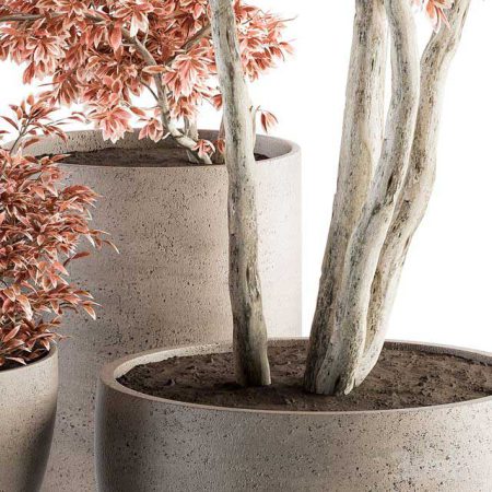 آبجکت گیاه Outdoor Plant Set 359 – Pink Plant Set in Concrete Pot
