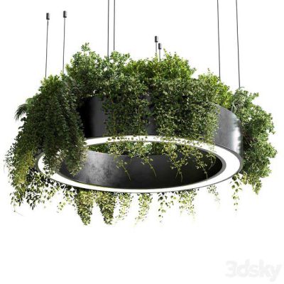 آبجکت لوستر Pot light – pendant plant light hanging 05
