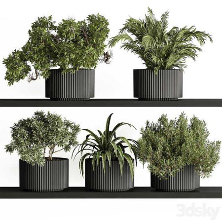 آبجکت گیاه indoor Plant Set 402 – Small Plant pot
